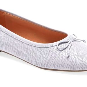 The Madewell Adelle Ballet Gray Flats Size 9